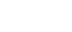 albert-hein-logo-2906299A27-seeklogo.com_-1.png